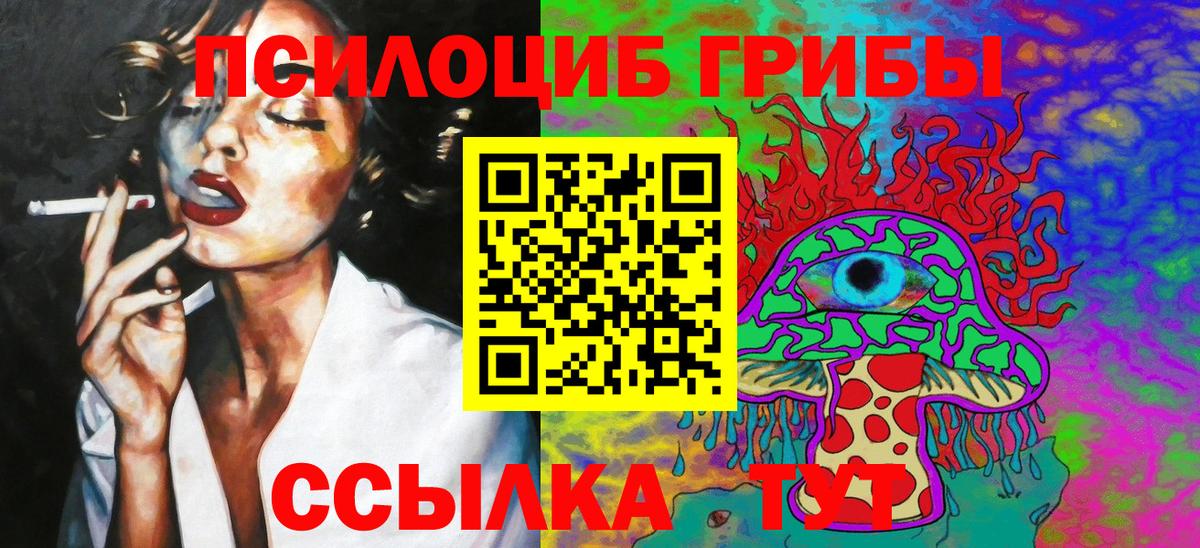 Галлюциногенные грибы Psilocybe Самара