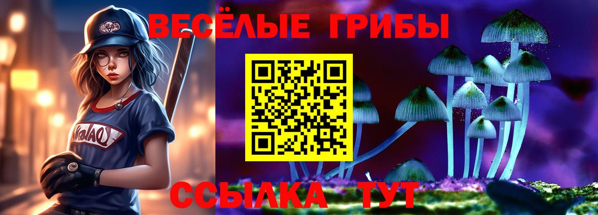 Самара  Галлюциногенные грибы GOLDEN TEACHER  Псилоцибиновые грибы MAGIC MUSHROOMS  Вход с VPN 